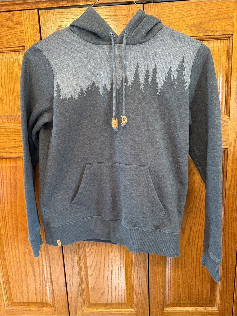 10 Tree- Men's Two-Tone Green Hooded Sweatshirt with Forest Graphic- Medium